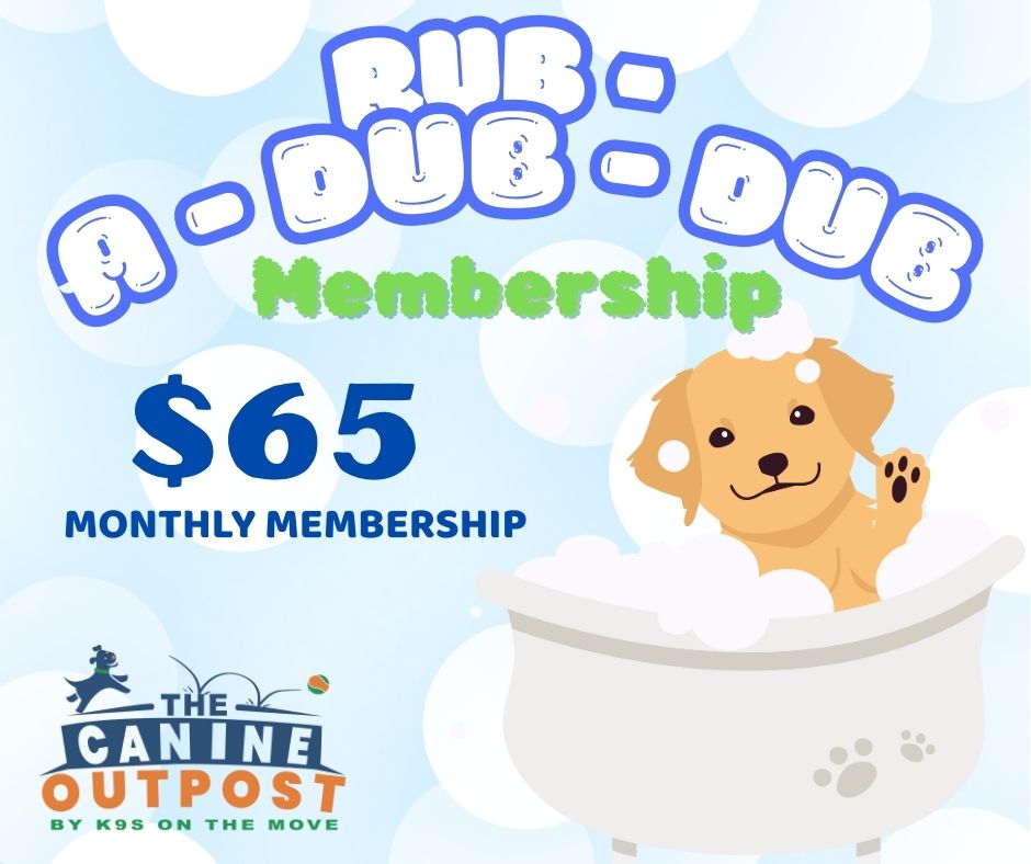 Monthly subscription plan for dog grooming